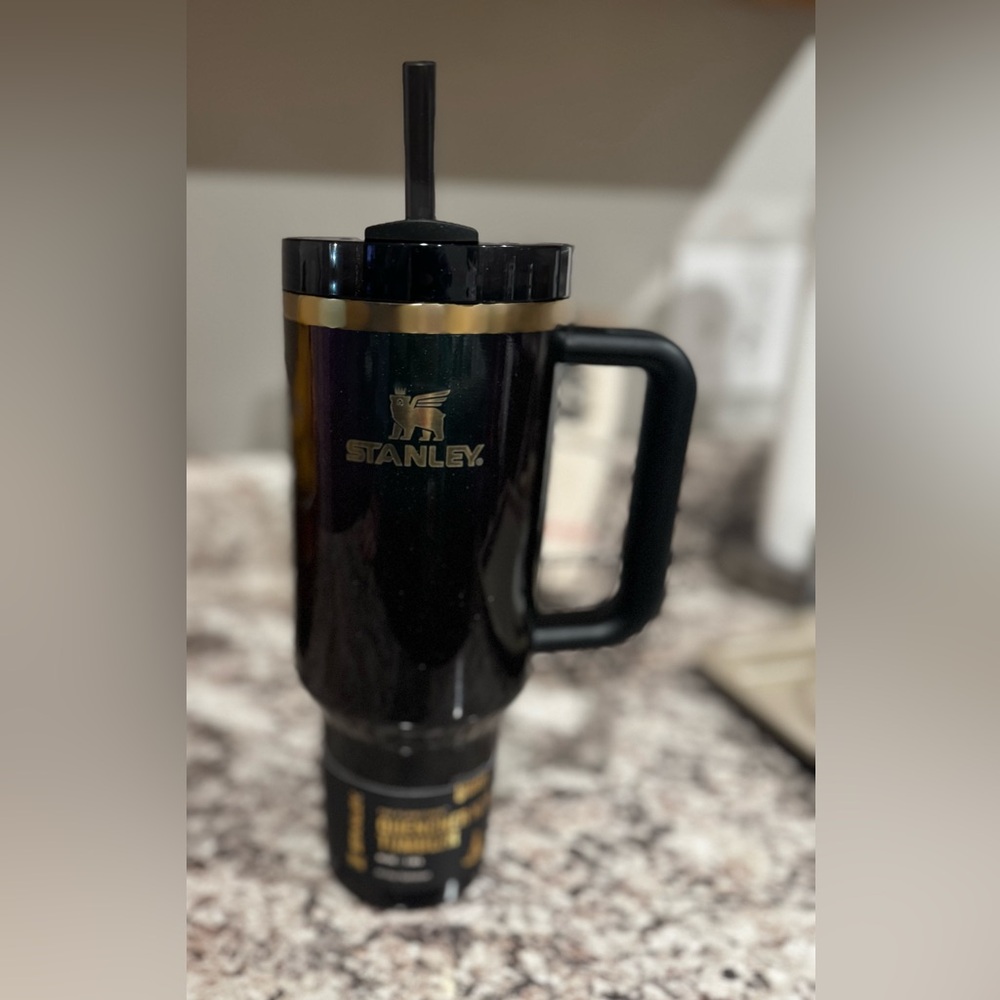 Stanley 40 oz Wicked Elphaba Tumbler